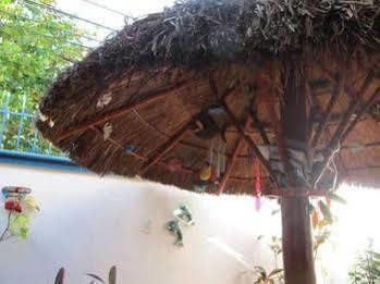 Alicia's Hotel Cozumel