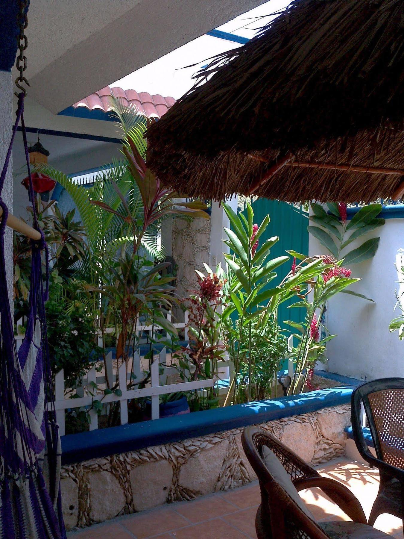 Alicia's Hotel